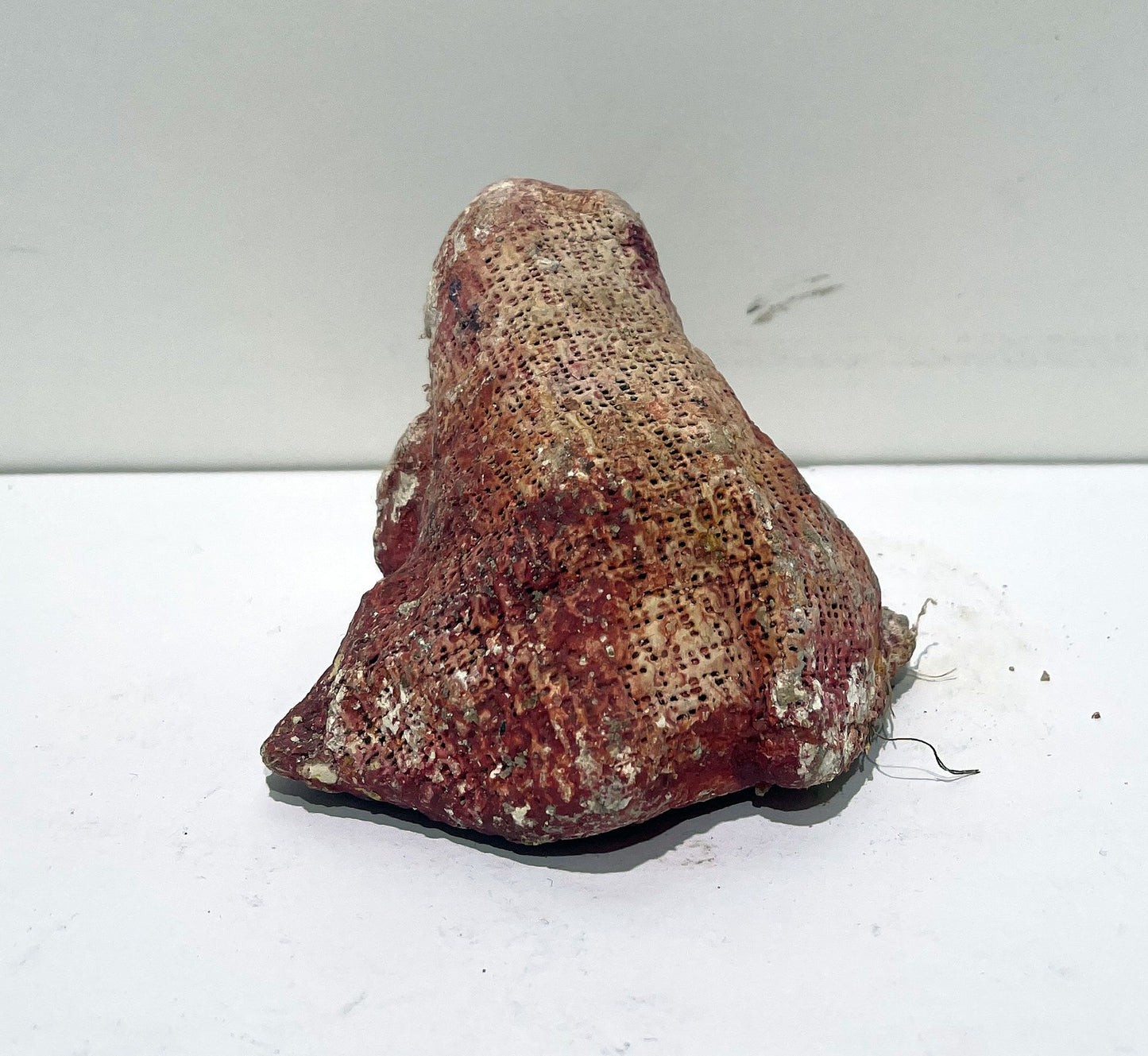 JABER El Mahjoub - La grenouille rouge - Sculpture Art Brut