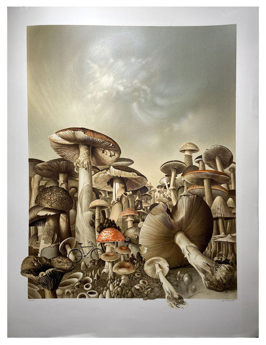 Roland CAT - La forêt de champignons, lithographie