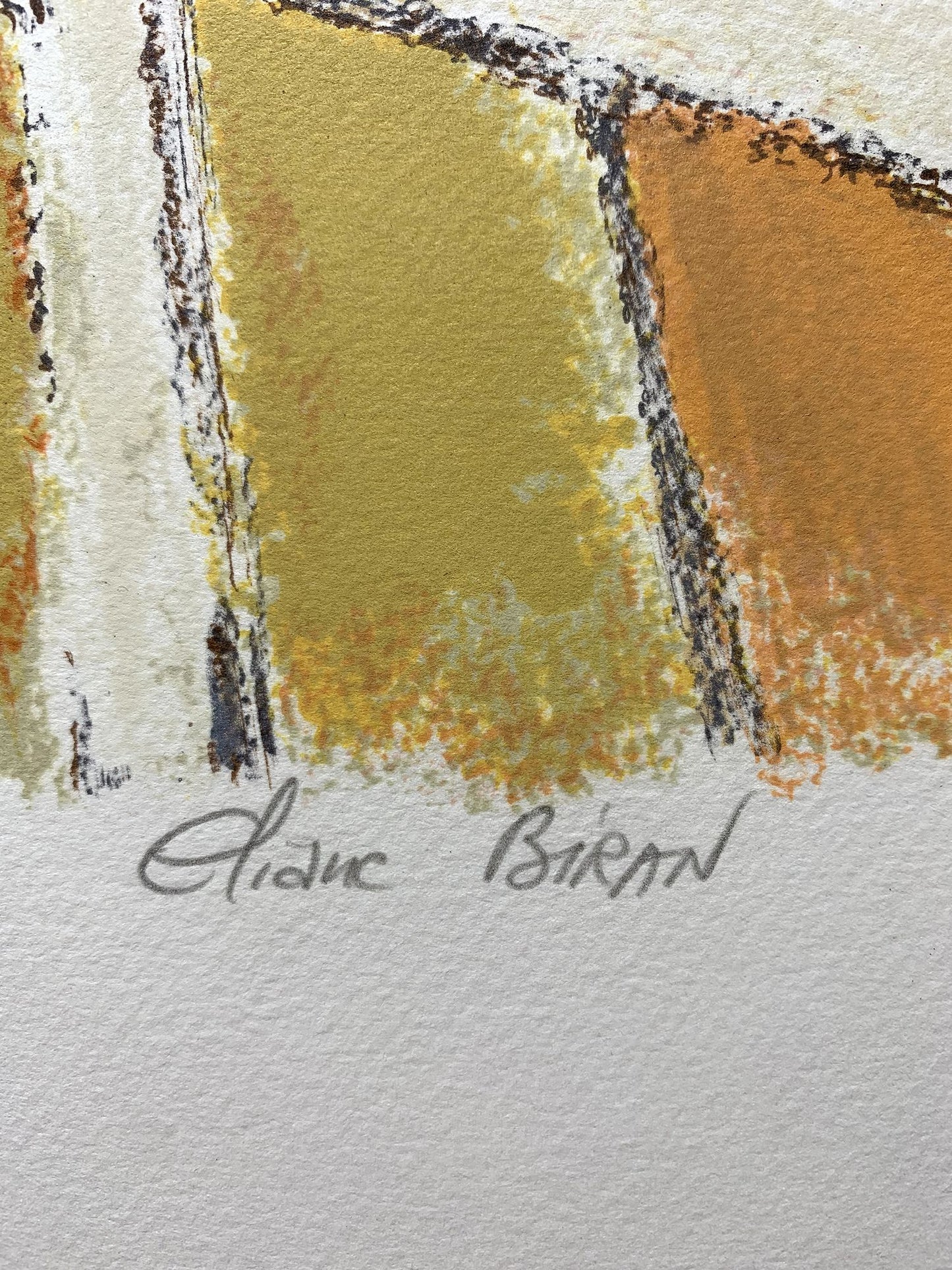 Eliane BIRAN - Orange au salon, lithographie