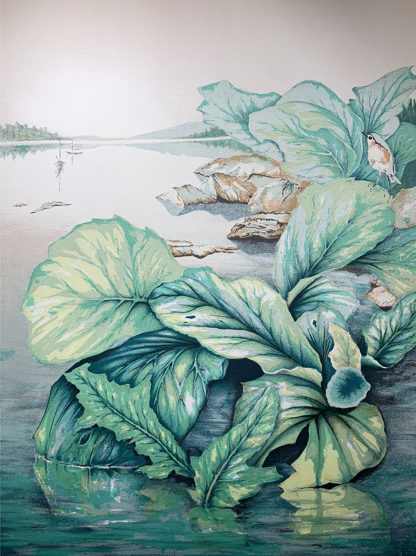 Denis BERTEAU   - Les plantes au bord du lac, lithographie