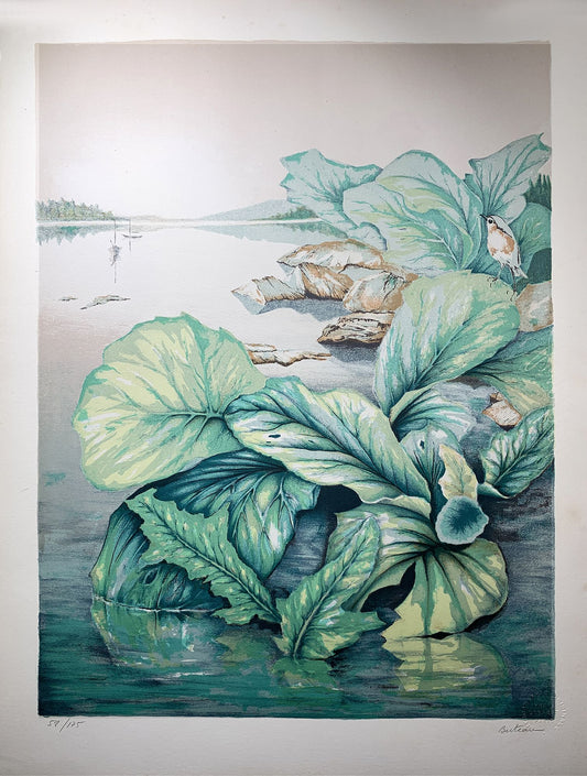 Denis BERTEAU   - Les plantes au bord du lac, lithographie